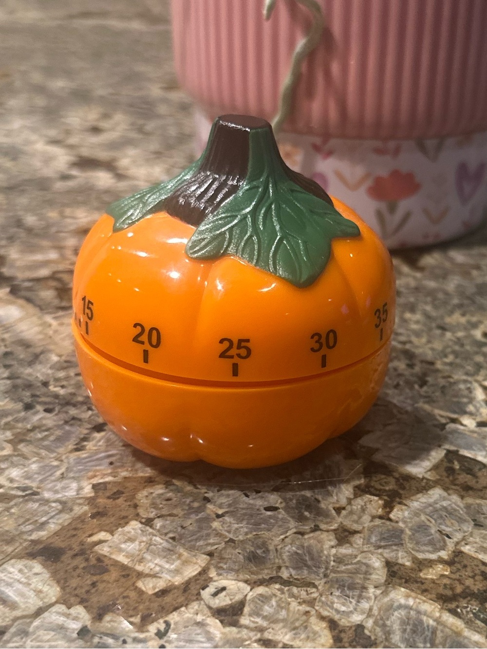 Pumpkin Kitchen Timer Autumn Fall Cooking Baking Countdown Decor Orange